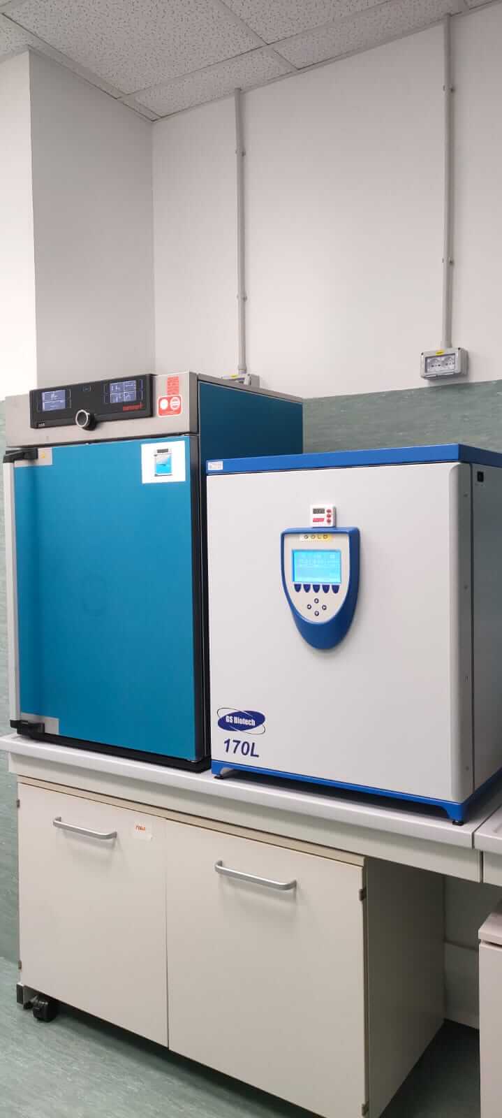 Incubatore per colture cellulari a CO2